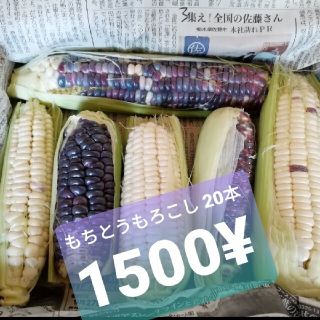 もちとうもろこし 20本1500¥(フルーツ)