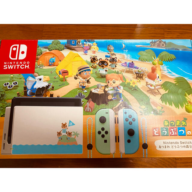 ニンテンドー　スイッチ　 あつまれどうぶつの森セット　ケース付