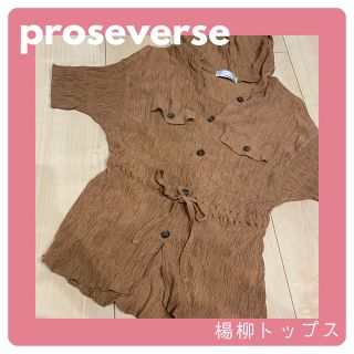 プロズヴェール(prose verse)のproseverse 楊柳　トップス　ブラウン　ブラウス　フード(シャツ/ブラウス(半袖/袖なし))