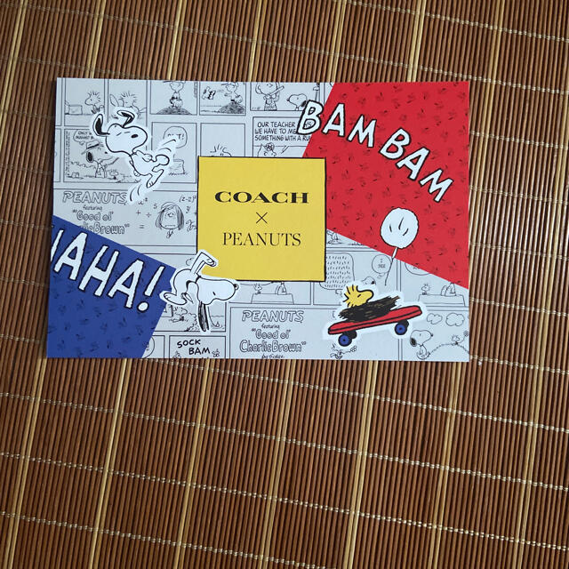 COACH(コーチ)のCOACHスヌーピー エンタメ/ホビーの声優グッズ(写真/ポストカード)の商品写真