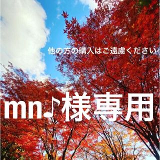 ガール(GIRL)の★mn♪様専用(ロングドレス)