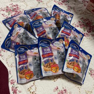日本ペットフード 猫の通販 22点 日本ペットフードのその他を買う