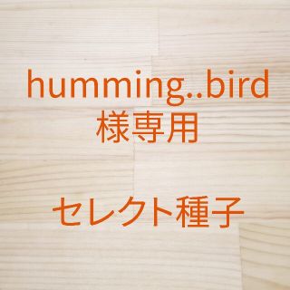 humming..bird様専用　セレクト種子　3袋(野菜)