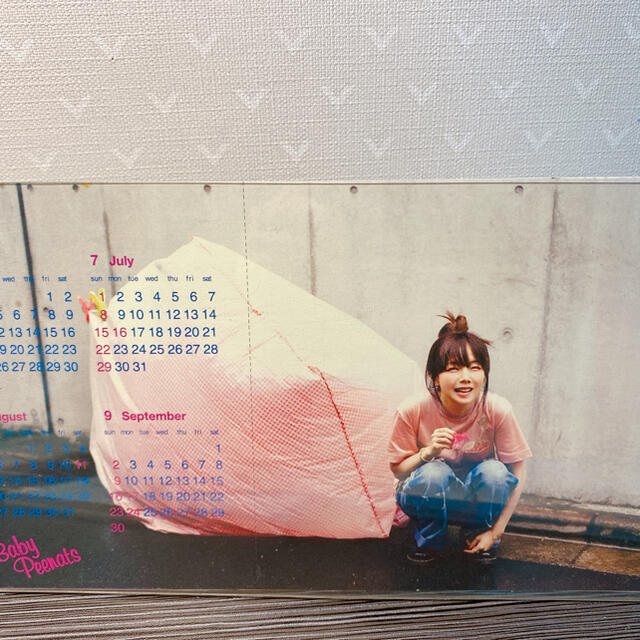 aiko Tシャツ　ドチビ　三枚　会報31冊　カレンダー　 エンタメ/ホビーのタレントグッズ(ミュージシャン)の商品写真