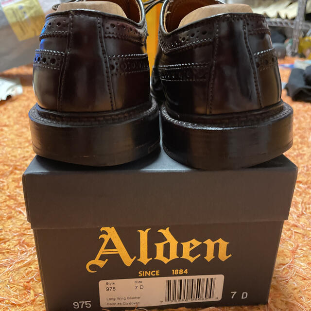Alden(オールデン)の良品　オールデン  975 us7 コードバン  ウィングチップ メンズの靴/シューズ(ドレス/ビジネス)の商品写真
