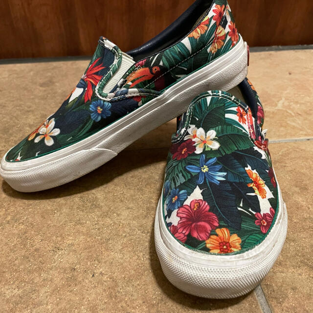 VANS(ヴァンズ)のVANS 花柄 レディース スリッポン レディースの靴/シューズ(スニーカー)の商品写真