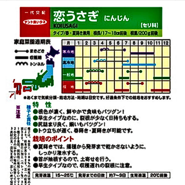 恋うさぎ人参の種  50粒  うさぎも恋する色濃い人参 食品/飲料/酒の食品(野菜)の商品写真