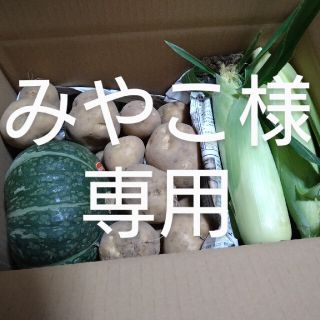 北海道産　野菜詰め合わせ(野菜)