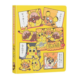 ポケモン(ポケモン)の ポケモンカードゲーム ミニカードファイル ピカちゅうず(Box/デッキ/パック)