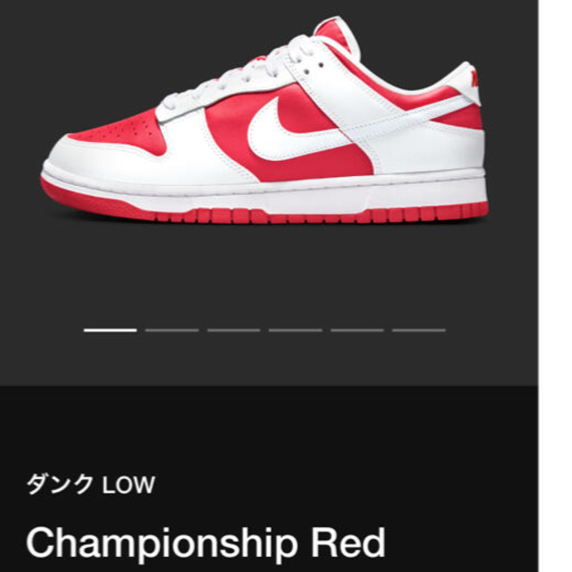 NIKE(ナイキ)のNIKE DUNK LOW championship red 28cm メンズの靴/シューズ(スニーカー)の商品写真