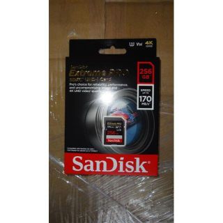サンデスク　SDSDXXY-256G-GN4IN [256GB](その他)