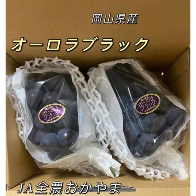 オーロラブラック　岡山県産　2房　約1.1kg  JAおかやま　ぶどう 食品/飲料/酒の食品(フルーツ)の商品写真