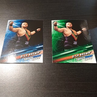 WWE ディーロブラウン カード2枚セット(格闘技/プロレス)