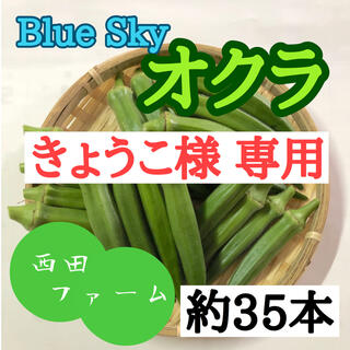 熊本県八代産 新鮮オクラ(ブルースカイ) 35本(野菜)