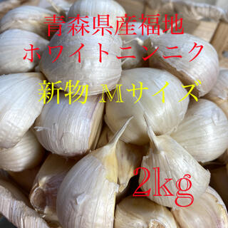 新物 青森県産福地ホワイトニンニク Mサイズ2kg (野菜)
