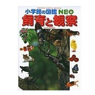 ショウガクカン(小学館)の小学館の図鑑NEO 飼育と観察(科学/技術)