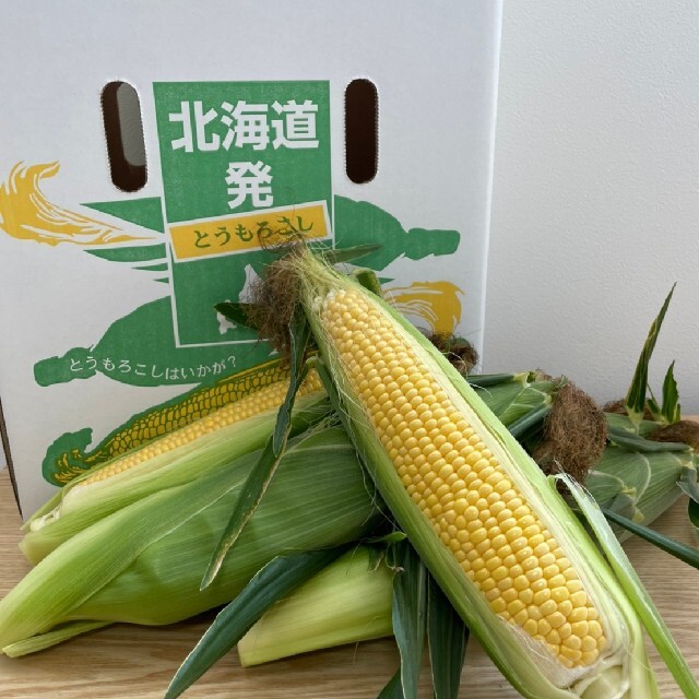 北海道産とうもろこし【10本入】 食品/飲料/酒の食品(野菜)の商品写真