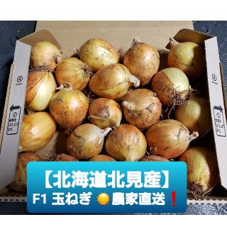 北海道 北見産 ミニ 新玉ねぎ ◎農家直送(野菜)