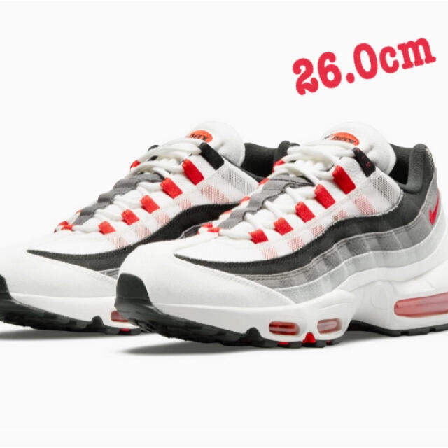 NIKE(ナイキ)のNIKE Air Max95 SMOKE Grey メンズの靴/シューズ(スニーカー)の商品写真