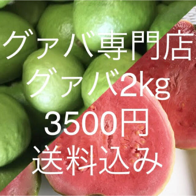 21 グァバ 2kg 3500円（常温郵送） 食品/飲料/酒の食品(フルーツ)の商品写真