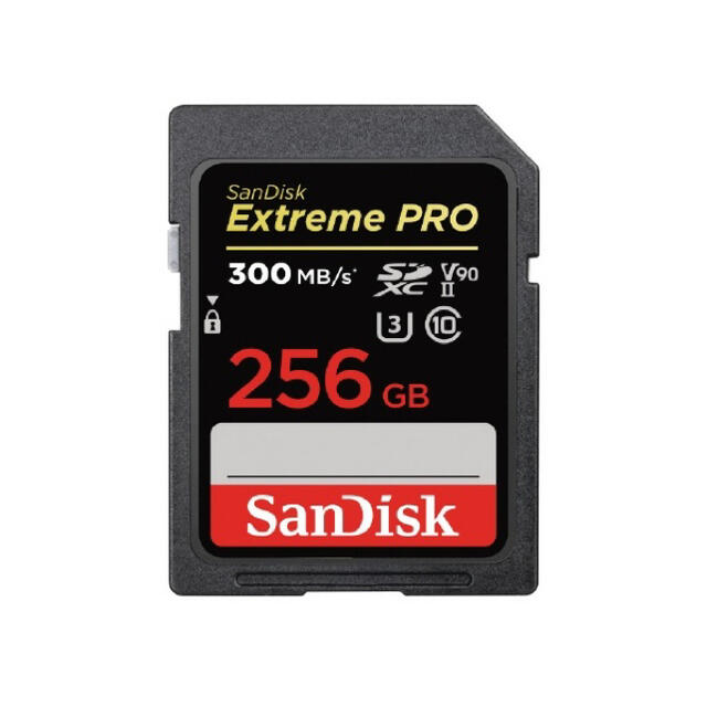 SanDisk - SDSDXDK256GJNJIP