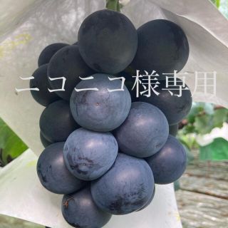 ニコニコ様専用  山梨県産ブラックビート2kg(フルーツ)