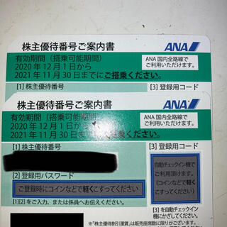 ANA 株主優待券　2枚セット(その他)
