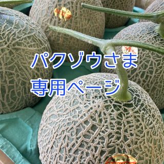 パクゾウさま専用ページ🍈夕張メロン(フルーツ)