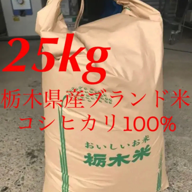 【R2年度古米・玄米】指定有料農地で採れた栃木県産ブランド米コシヒカリ 25kg食品/飲料/酒