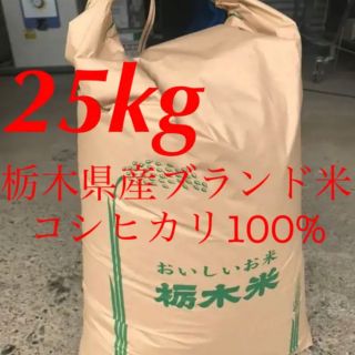 【R2年度古米・玄米】指定有料農地で採れた栃木県産ブランド米コシヒカリ 25kg(米/穀物)