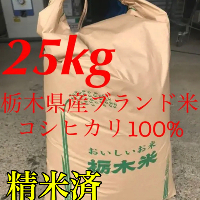 【R2年度古米・精米】指定有料農地で採れた栃木県産ブランド米コシヒカリ 25kg食品/飲料/酒