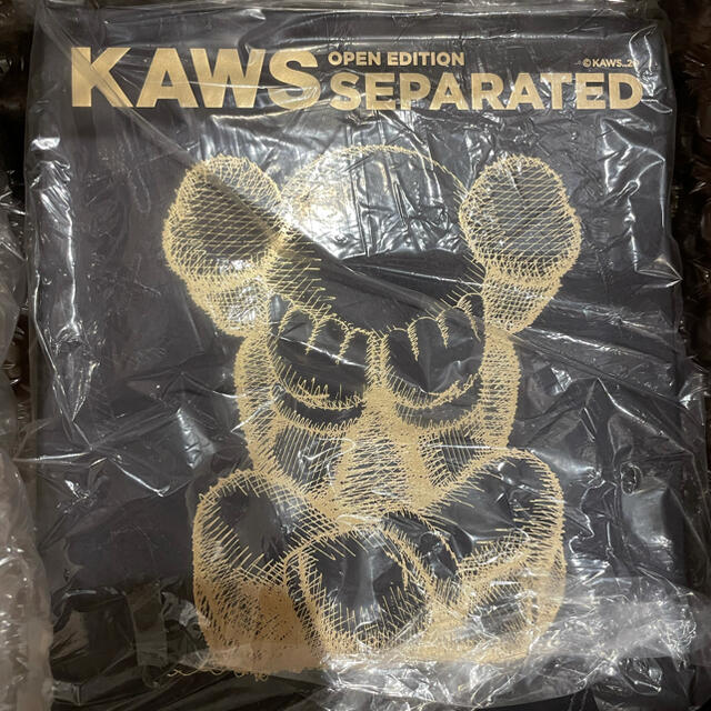 KAWS SEPARATED Black ブラックその他