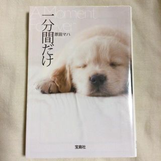 一分間だけ(文学/小説)