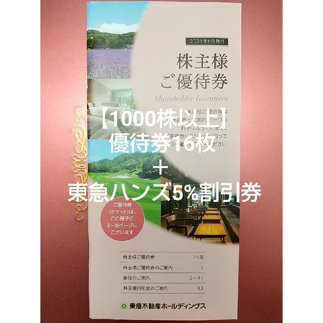 東急不動産 株主優待券16枚＋ハンズ5%割引 チケットの優待券/割引券(宿泊券)の商品写真