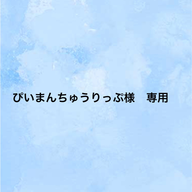 【専用】コンビ  ベビーカー AttO  type-L コンビ アットA