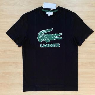 ラコステ(LACOSTE)のラコステ XLサイズ 半袖Tシャツ(Tシャツ/カットソー(半袖/袖なし))