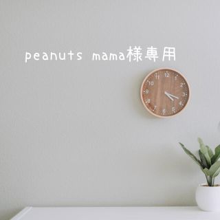 peanuts mama様専用 ＊お名前はんこ(はんこ)