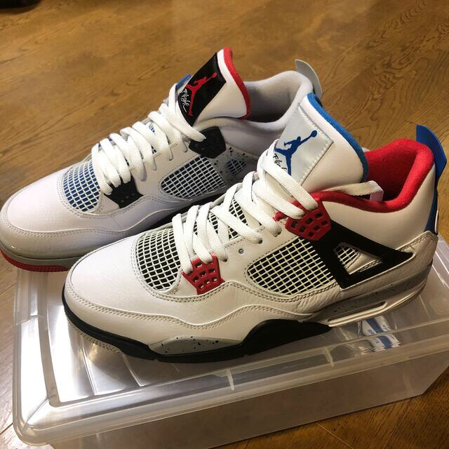 NIKE AIR JORDAN4 WHAT THE