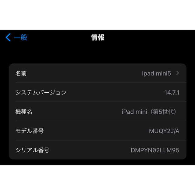 iPad mini 第5世代　Wi-Fiモデル　ゴールド 2