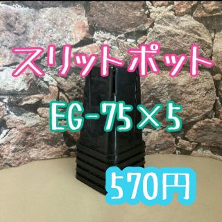 ◎5個◎ロング スリットポット EG-75L slitpot プラ鉢(プランター)