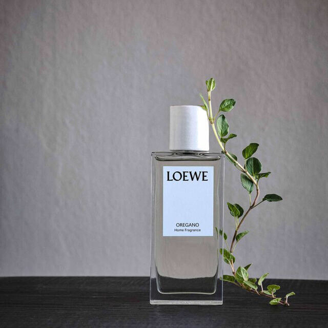 LOEWE - LOEWE ロエベ オレガノキャンドル 170g 新品の通販 by ...