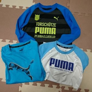 プーマ(PUMA)のPUMA シャツ ロンT&半袖 140cm 150cm(Tシャツ/カットソー)