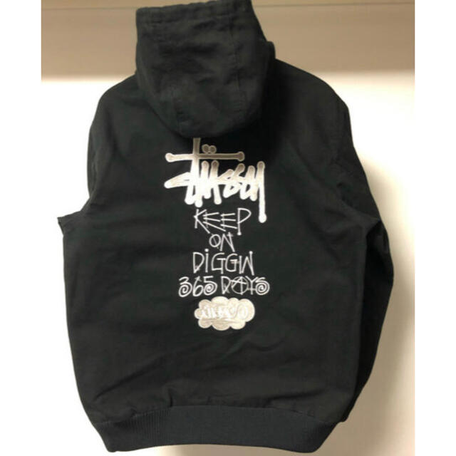 STUSSY SAVAGE! HAZE CARHARTT アクティブパーカー