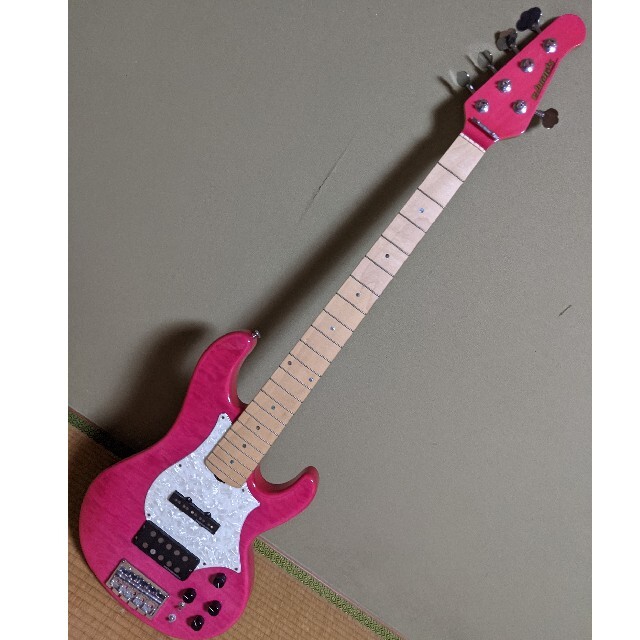 EDWARDS E-T-170BD 5弦ベース