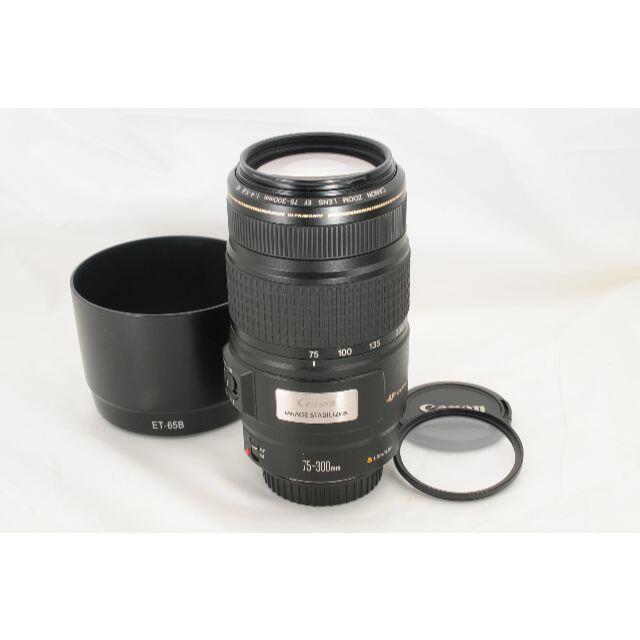 【大迫力望遠】Canon EF 75-300mm F4-5.6 IS 手ブレ補正