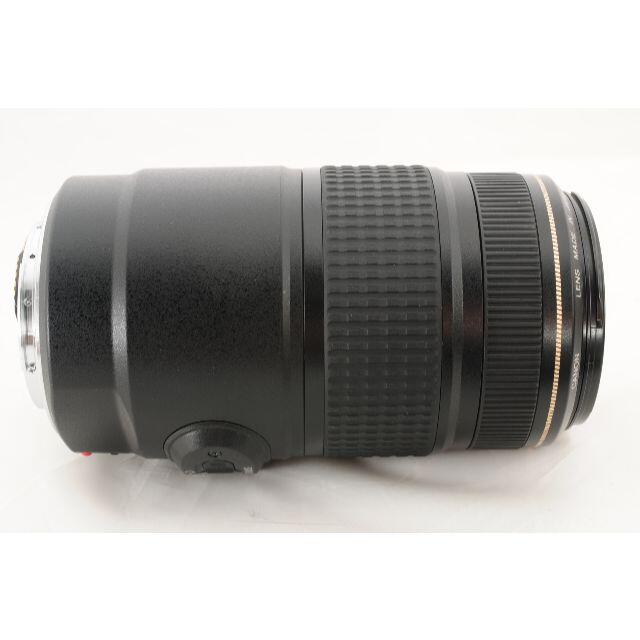 【大迫力望遠】Canon EF 75-300mm F4-5.6 IS 手ブレ補正