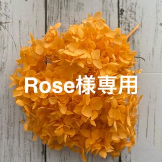 Rose様専用(各種パーツ)