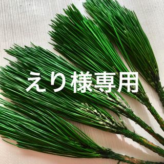 えり様専用(各種パーツ)