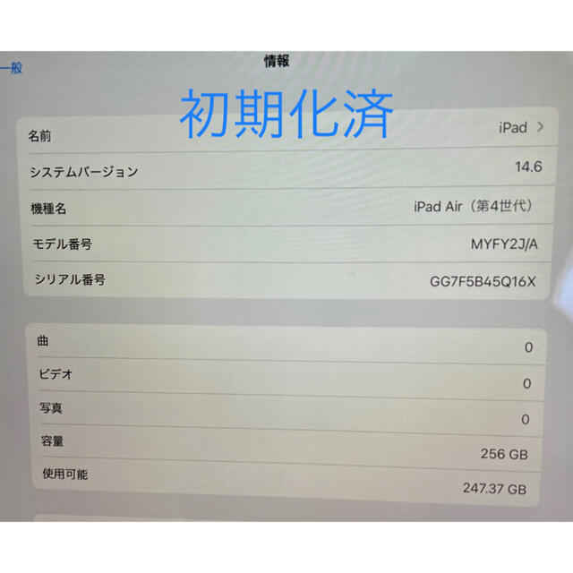 iPad(アイパッド)の【美品】iPad Air 256GB Wi-Fiモデル スカイブルー（第4世代） スマホ/家電/カメラのPC/タブレット(タブレット)の商品写真