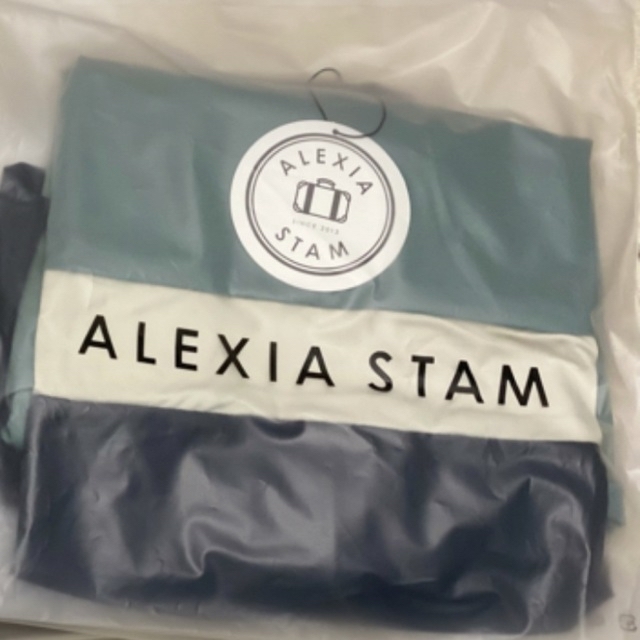 ALEXIA STAM(アリシアスタン)のアリシアスタン Alana ラッシュワンピース　L　ラッシュビキニ　新品未使用 レディースの水着/浴衣(水着)の商品写真
